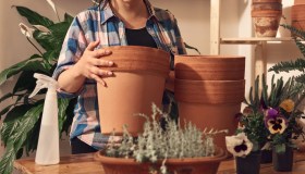 Come pulire i vasi, il trucco infallibile dell’aceto