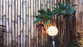 Recinzioni in bambù per proteggere il giardino con stile: tipi e soluzioni