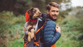 Vacanze in montagna? Ecco con lo zaino per fare trekking con il tuo amico a 4 zampe
