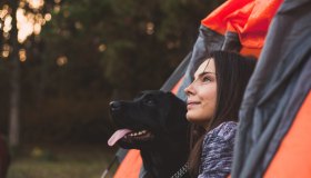 In campeggio con il cane (e non solo) con la tenda compatta e portatile da mettere dove vuoi