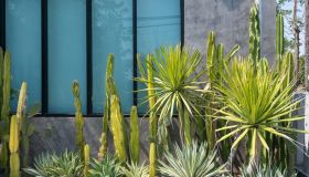 Giardino secco, cos’è e come realizzare un dry garden