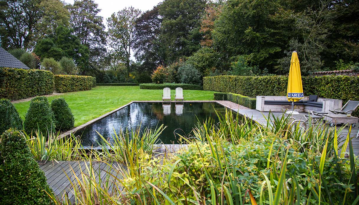 Biopiscina dal design geometrico circondata da siepi e prato all’inglese