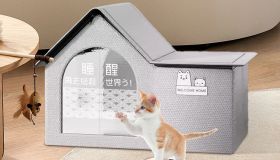 La casa refrigerante, effetto “aria condizionata”, è la soluzione geniale e fresca per il tuo gatto