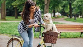 In bici con il tuo amico a quattro zampe: ecco il cestino perfetto