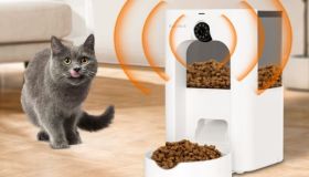 Parla al tuo cucciolo e dagli un premio (anche quando non ci sei) con il dispenser di cibo con telecamera