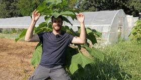 Orto e giardino al tempo del caldo estremo, strategie e difese naturali