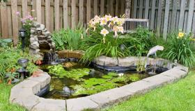 Giardino acquatico, che cos’è, come realizzarlo e quali fiori mettere