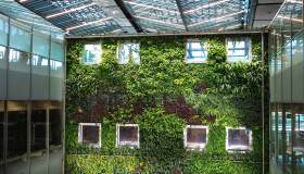 Tetti e pareti verdi, soluzioni sostenibili per l’architettura domestica