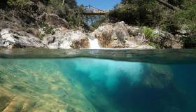 Biopiscine naturali. Come funzionano, vantaggi e consigli di progettazione