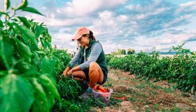 Altro che vacanze costose: ecco come partire (quasi a gratis) grazie al volontariato internazionale con vitto e alloggio inclusi