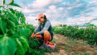 Come viaggiare gratis all’estero (e vivere esperienze che non troverai in nessuna guida)