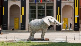Triennale, dopo la Balenottera, ecco l’Elefante della Namibia di Jacopo Allegrucci