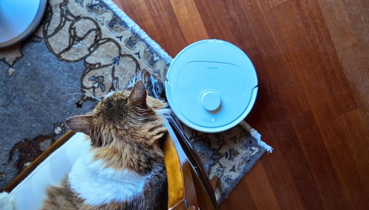 Funzioni speciali per animali