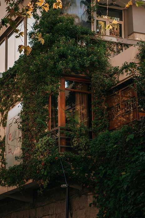 Balcone con piante rampicanti che creano un angolo verde e rilassante.