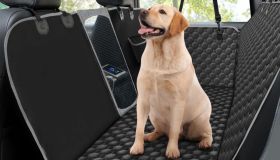 Viaggia pulito e sicuro con il tuo cane. L’accessorio che non può mancare in auto