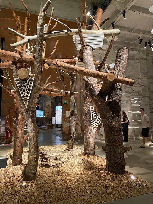 installazione con tronchi di legno alla Biennale Architettura 2025