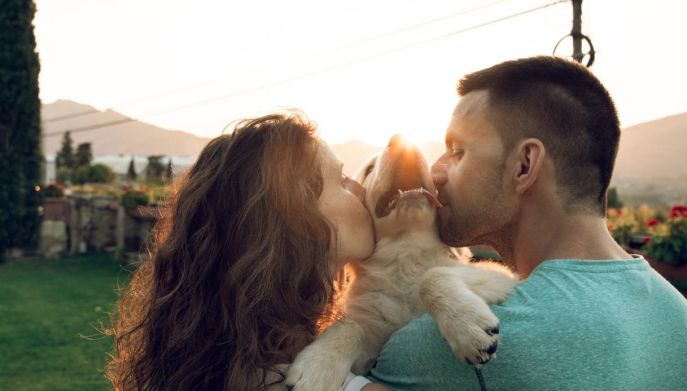 Proprietari attenti alla cura degli animali: i numeri