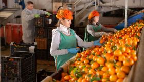 Chi è Francesca Lonigro, l’imprenditrice più amata di Boss in incognito