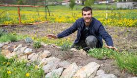 Propagare le aromatiche a costo zero: talee, propaggini e piccoli gesti che moltiplicano la vita