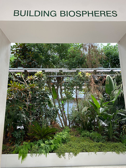 Padiglione Belgio Building Biospheres alla Biennale Architettura 2025, giardino verde integrato nella struttura espositiva