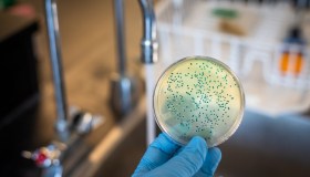 Creati i primi virus con l’AI: un’alternativa possibile agli antibiotici