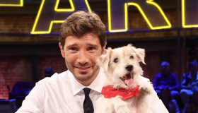 Ascolti tv del 20 settembre, Pino È contro Ciao Darwin. E De Martino recupera terreno