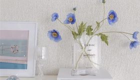 Questo vaso trasparente in vendita su Amazon sta ossessionando tutti gli amanti dei libri