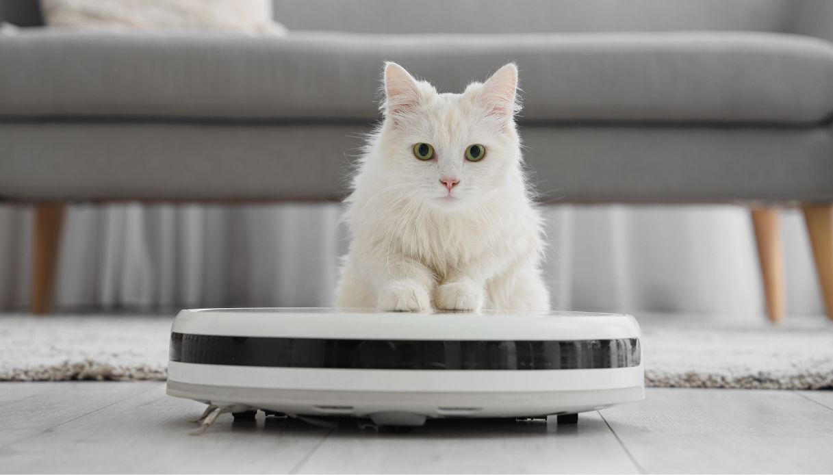 basta fatica robot scope e lavapavimenti le novit224 che cambiano le pulizie di casa oggi da Dilei.it basta fatica robot scope e lavapavimenti le novit224 che cambiano le pulizie di casa oggi