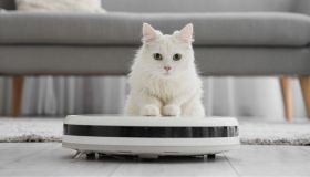 Basta fatica! Robot, scope e lavapavimenti: le novità che cambiano le pulizie di casa oggi