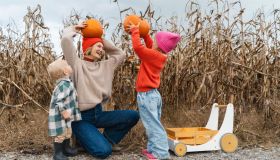 Campi di Zucche mania: la storia e dove trovarli in Italia!