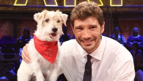 Affari Tuoi, lezioni di “stupidera”: Stefano De Martino si strozza e sputa in studio
