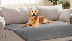 Con il copridivano per cani non dovrai più preoccuparti per i peli del tuo pet sul divano