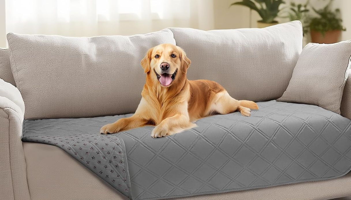 Fuzzy Dog Copridivano Lavabile Per Cani E Gatti Di Taglia Grande - Marrone 70x210 Cm - Protezione Da Peli, Sporco E Graffi, Con Cinghie Regolabili E Retro Antiscivolo