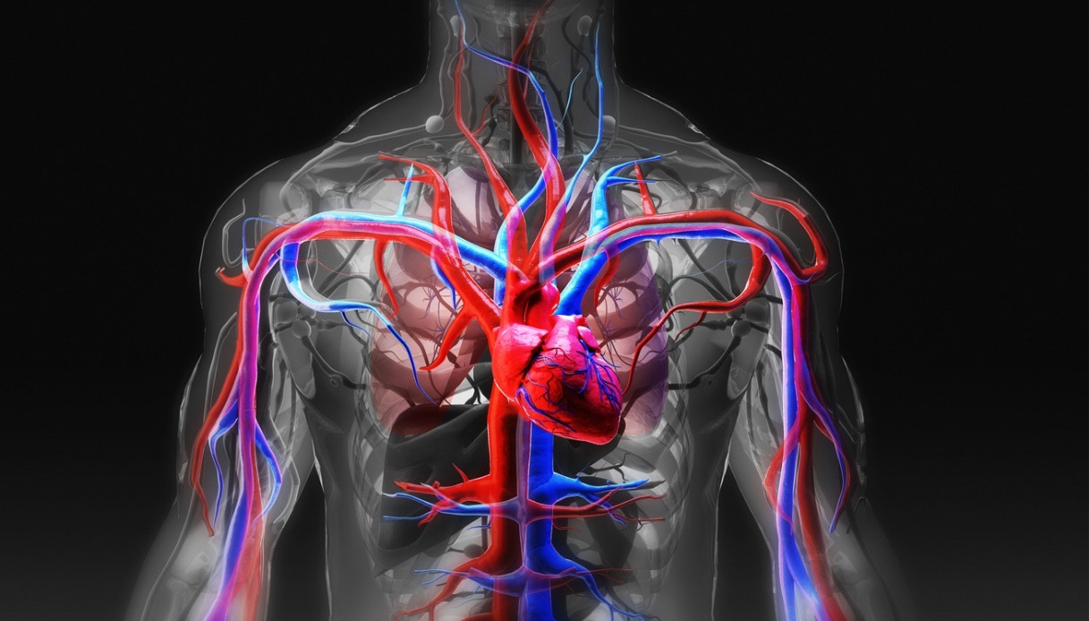 primo trapianto al mondo di arteria polmonare dove 232 stato eseguito e perch233 da Dilei.it primo trapianto al mondo di arteria polmonare dove 232 stato eseguito e perch233