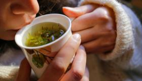 Difese immunitarie al top: le migliori tisane che che rinforzano l’organismo