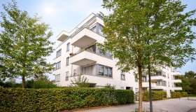 Abbattere un albero condominiale: normative e procedure