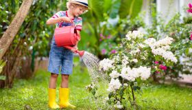 Perché è importante insegnare ai bambini il rispetto di acqua e luce