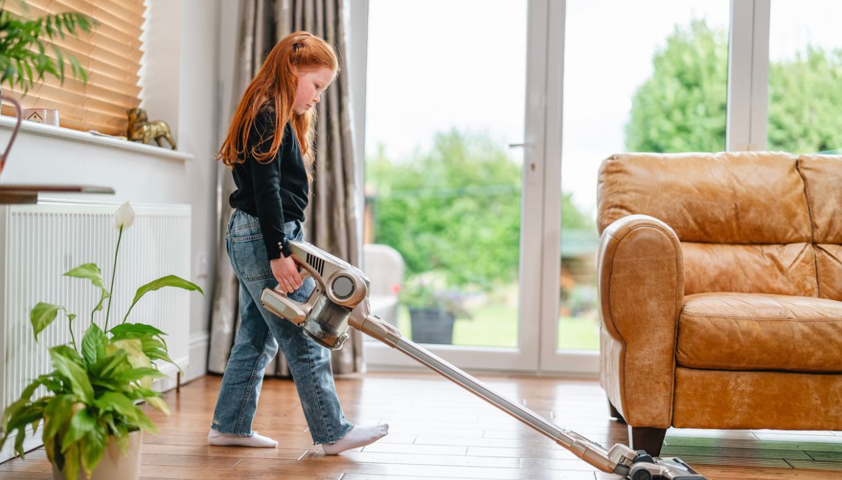 Educazione domestica