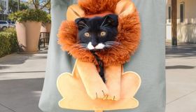 Questa è la borsa più cute che vedrai per portare a spasso il tuo (mini) amico peloso