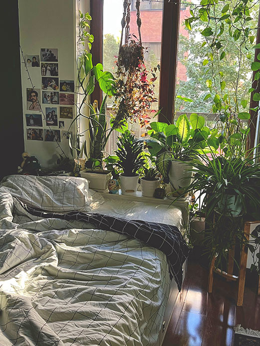 Camera da letto con molte piante che favoriscono armonia e aria pulita secondo il Feng Shui