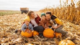 Campi di zucca 2025, i 7 da visitare e da cui prendere ispirazione per il tuo orto