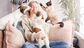 Cani e gatti fanno bene alla salute: la loro compagnia ferma il declino cognitivo negli over 50