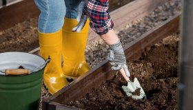 Orto in autunno, come si prepara il terreno e quale terriccio usare