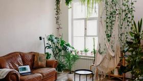 Giardinaggio da divano, idee e tecniche per piante felici indoor