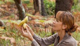 Intossicazione da funghi, 25 casi in 5 giorni. Le precauzioni da seguire