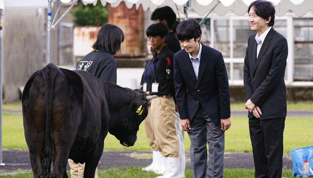 Il Principe ereditario giapponese Fumihito e suo figlio, il Principe Hisahito, in visita a una fattoria nel 2023