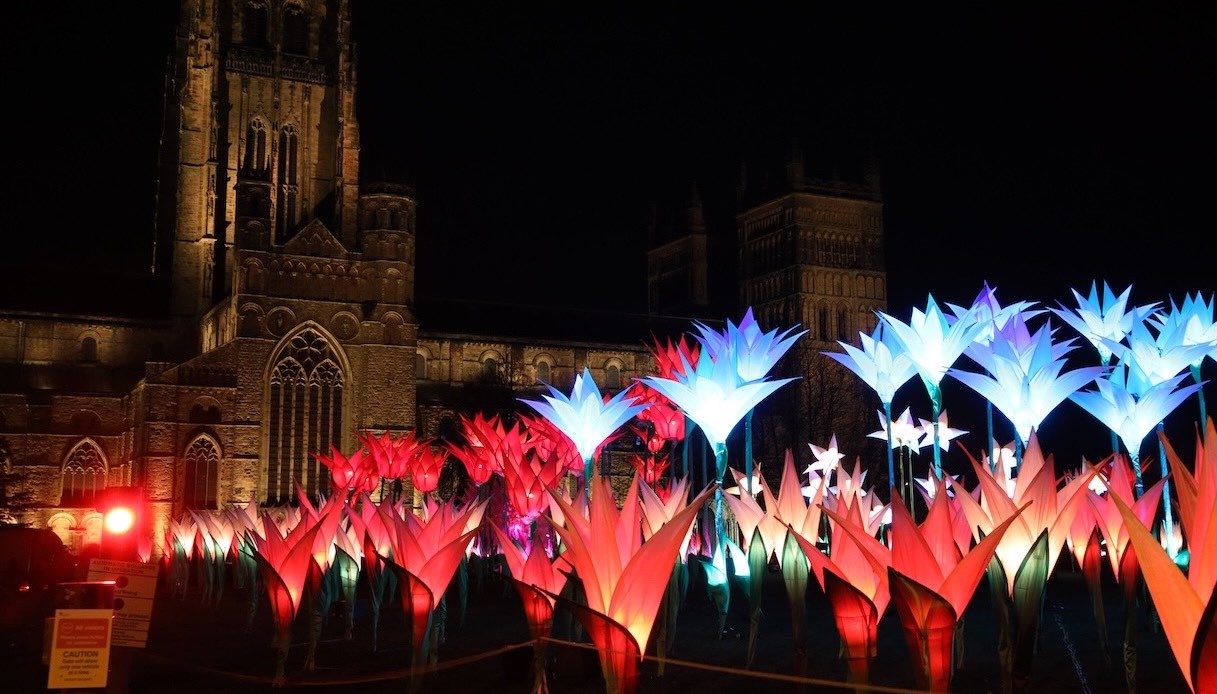 Lumiere Festival 2025, la magia di fiori giganti fatti di luce
