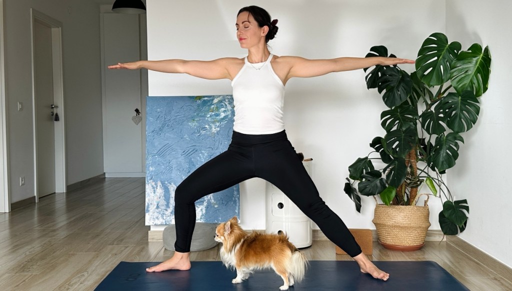 posizione guerriero 2