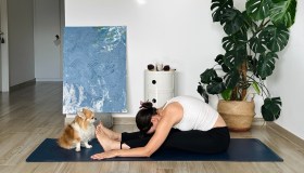 Yoga per il ciclo: routine e consigli per ogni fase del mese