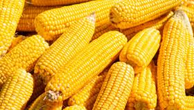 Z come Zeaxantina: cos’è e che legame c’è con la luteina